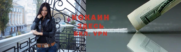 шишки Покров