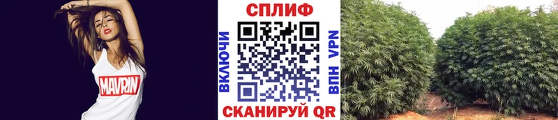 Каннабис THC 21% Купить закладки Королёв